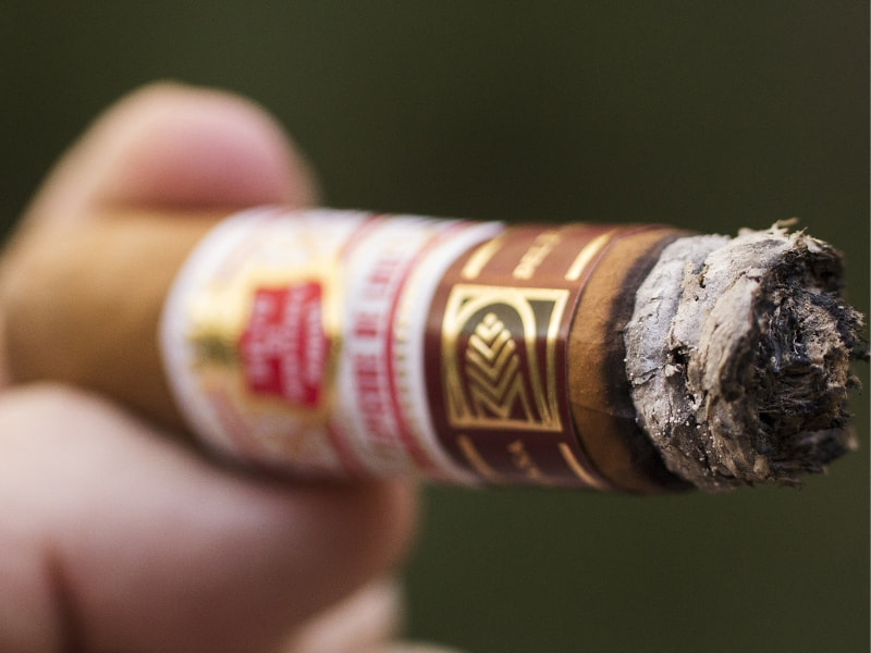 Đánh giá hương vị của Hoyo De Monterrey Epicure Deluxe